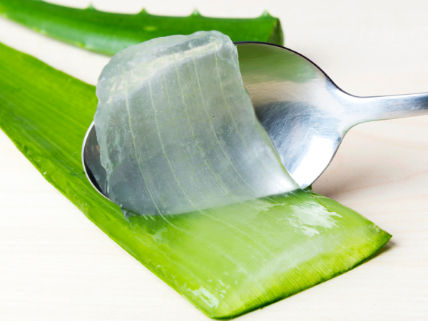 Aloe Vera Juice Inner Fillet photo