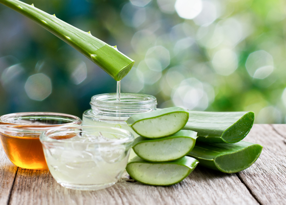 Aloe Vera Juice Inner Fillet vs Whole Leaf photo