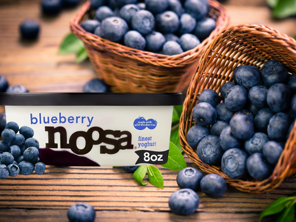 Blueberry Noosa Yogurt