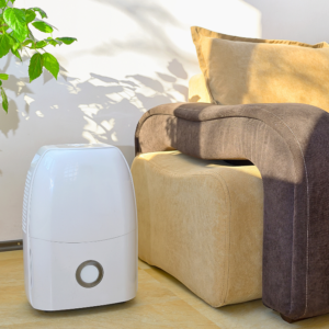 Dehumidifier Do for Your Health photo