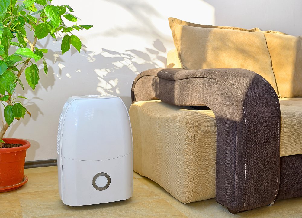 Dehumidifier Do for Your Health photo