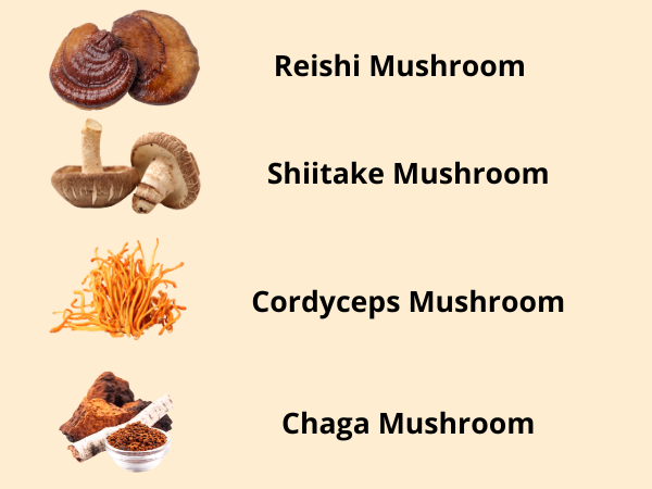 Types Of Mushrooms Used In Supplements photo